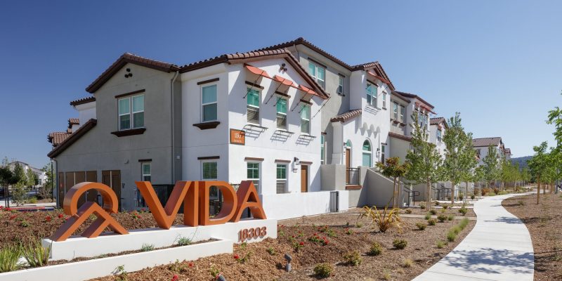 Vida 1
